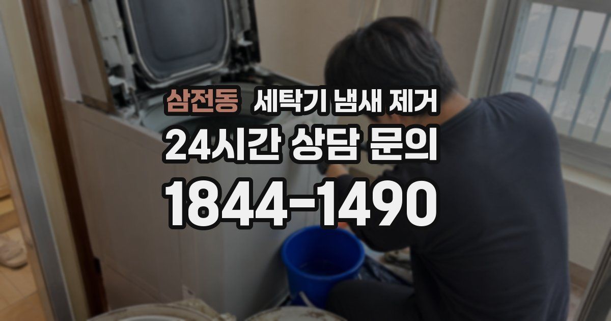 삼전동 세탁기 냄새 제거
