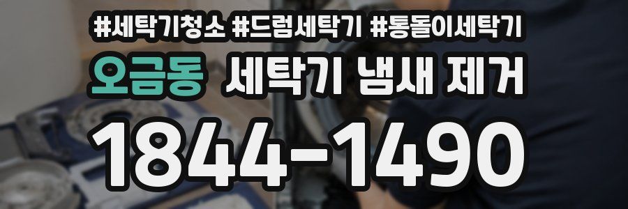 오금동 세탁기 냄새 제거