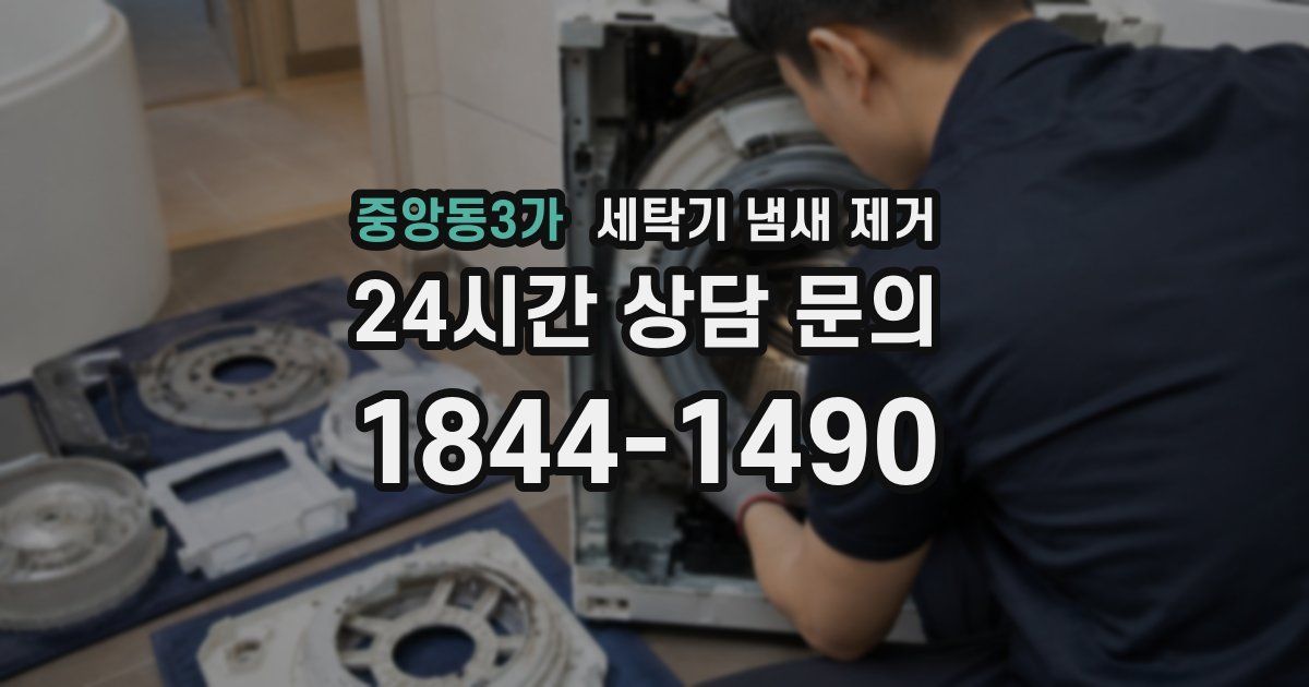 중앙동3가 세탁기 냄새 제거
