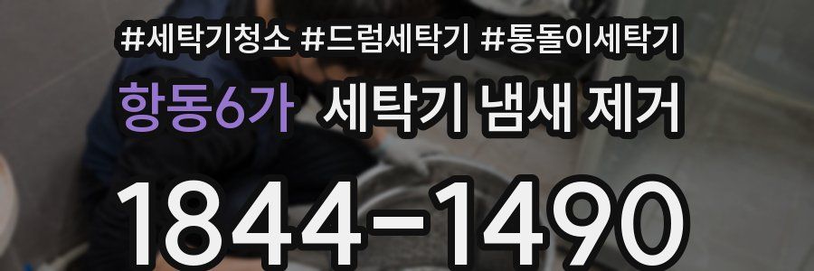 항동6가 세탁기 냄새 제거