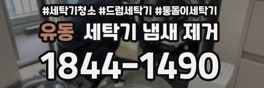 유동 세탁기 냄새 제거