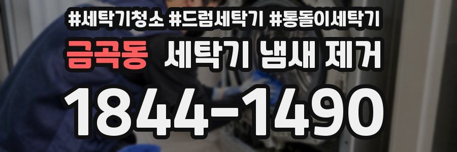 금곡동 세탁기 냄새 제거