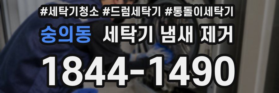숭의동 세탁기 냄새 제거