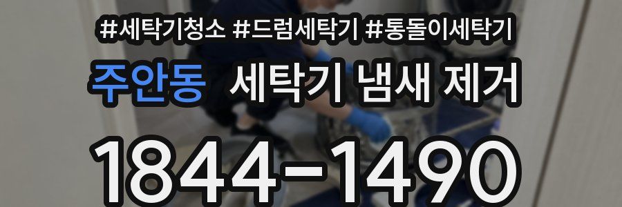 주안동 세탁기 냄새 제거