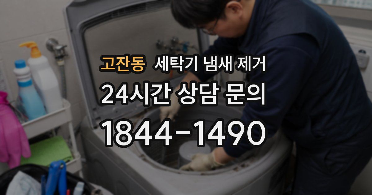 고잔동 세탁기 냄새 제거