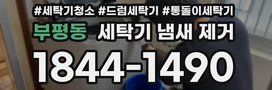부평동 세탁기 냄새 제거