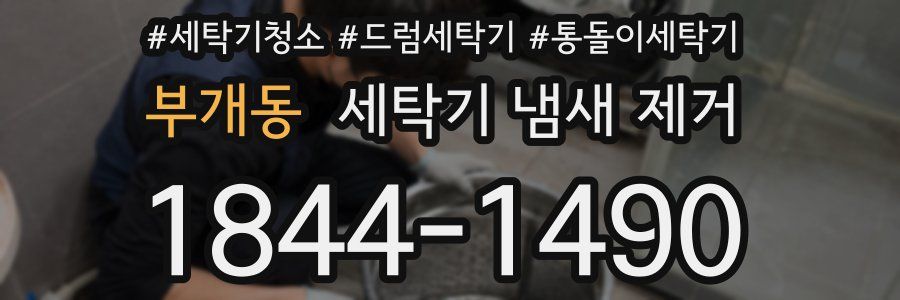 부개동 세탁기 냄새 제거