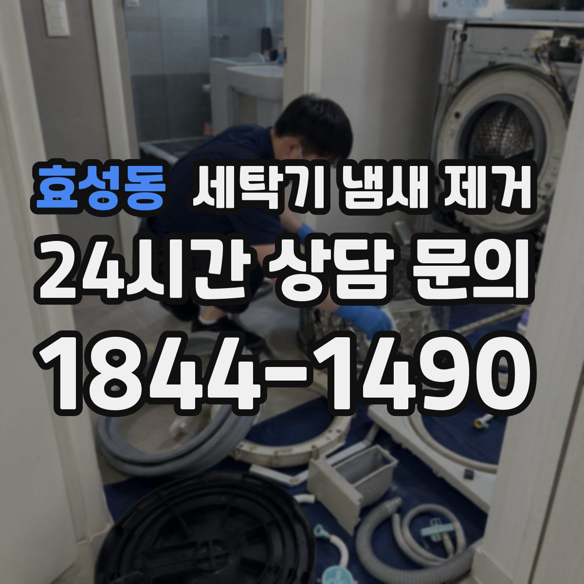 효성동 세탁기 냄새 제거