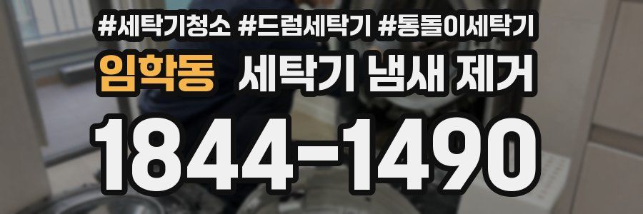 임학동 세탁기 냄새 제거