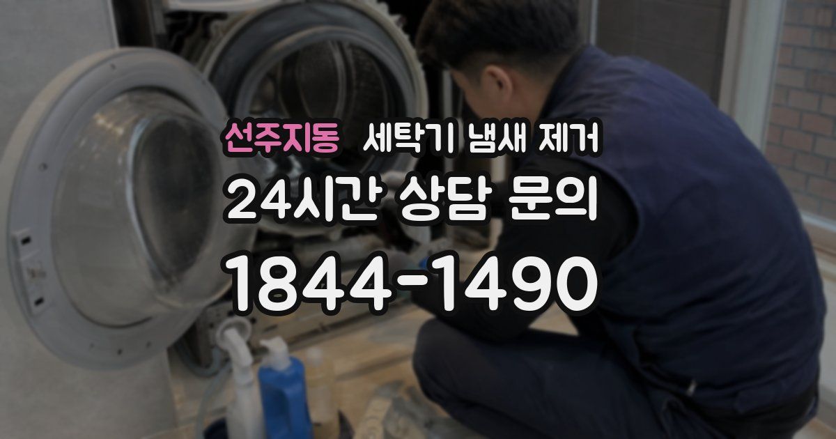 선주지동 세탁기 냄새 제거