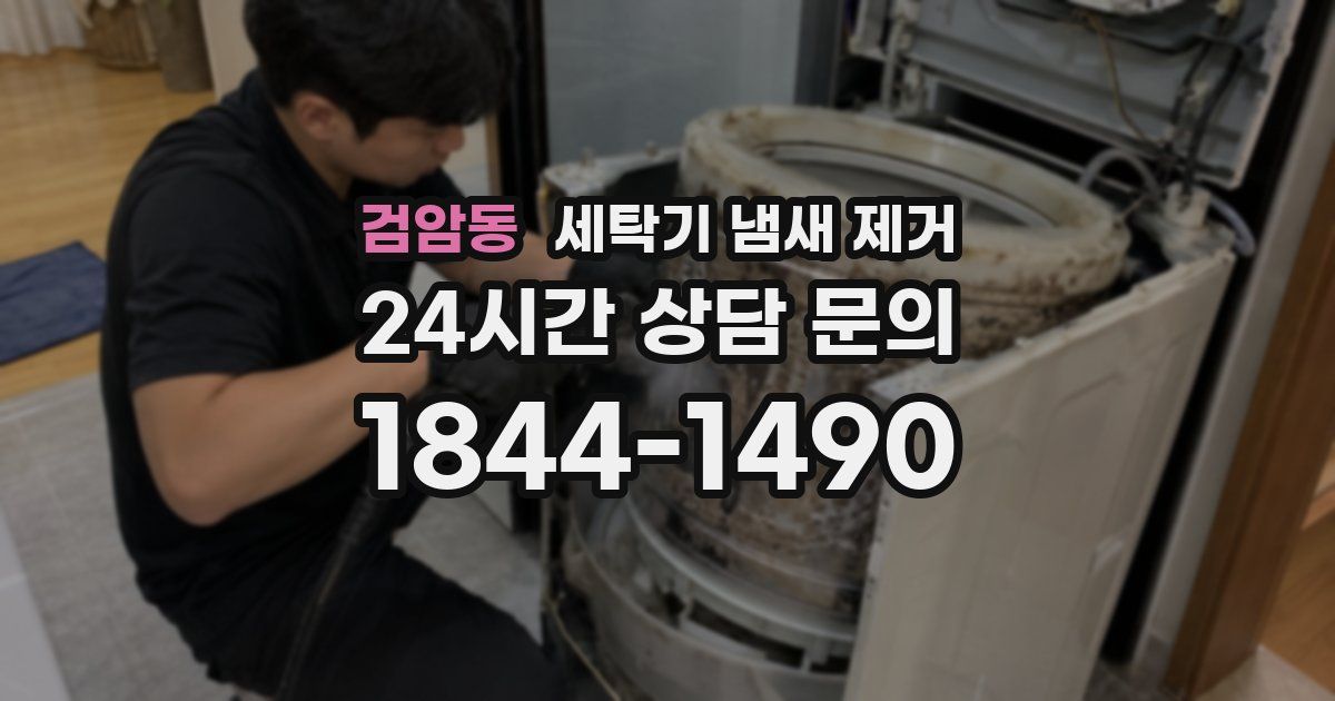 검암동 세탁기 냄새 제거