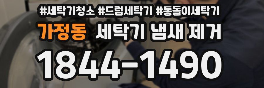 가정동 세탁기 냄새 제거