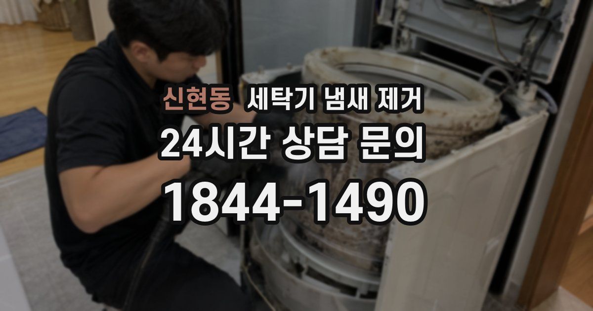 신현동 세탁기 냄새 제거