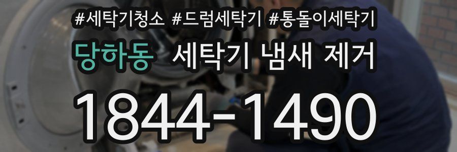 당하동 세탁기 냄새 제거