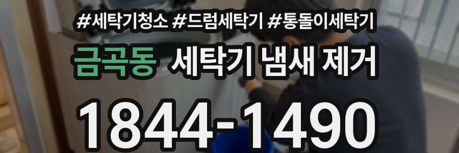 금곡동 세탁기 냄새 제거
