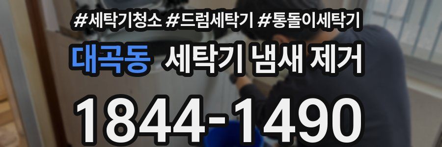 대곡동 세탁기 냄새 제거