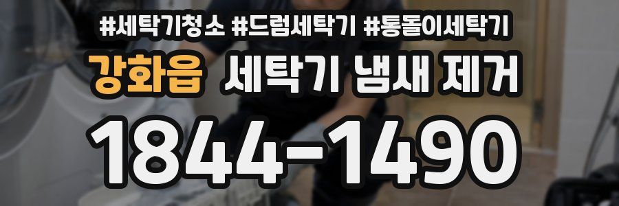 강화읍 세탁기 냄새 제거