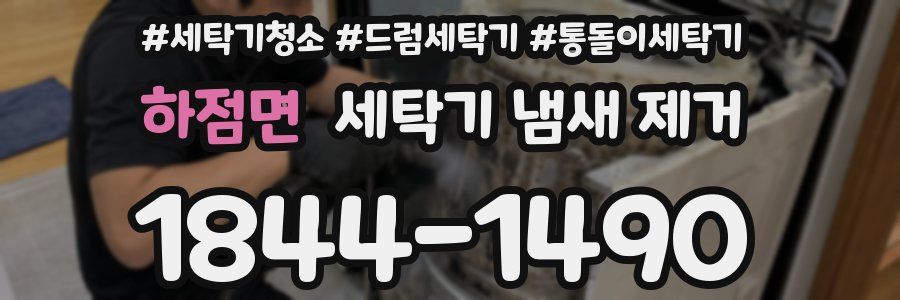 하점면 세탁기 냄새 제거