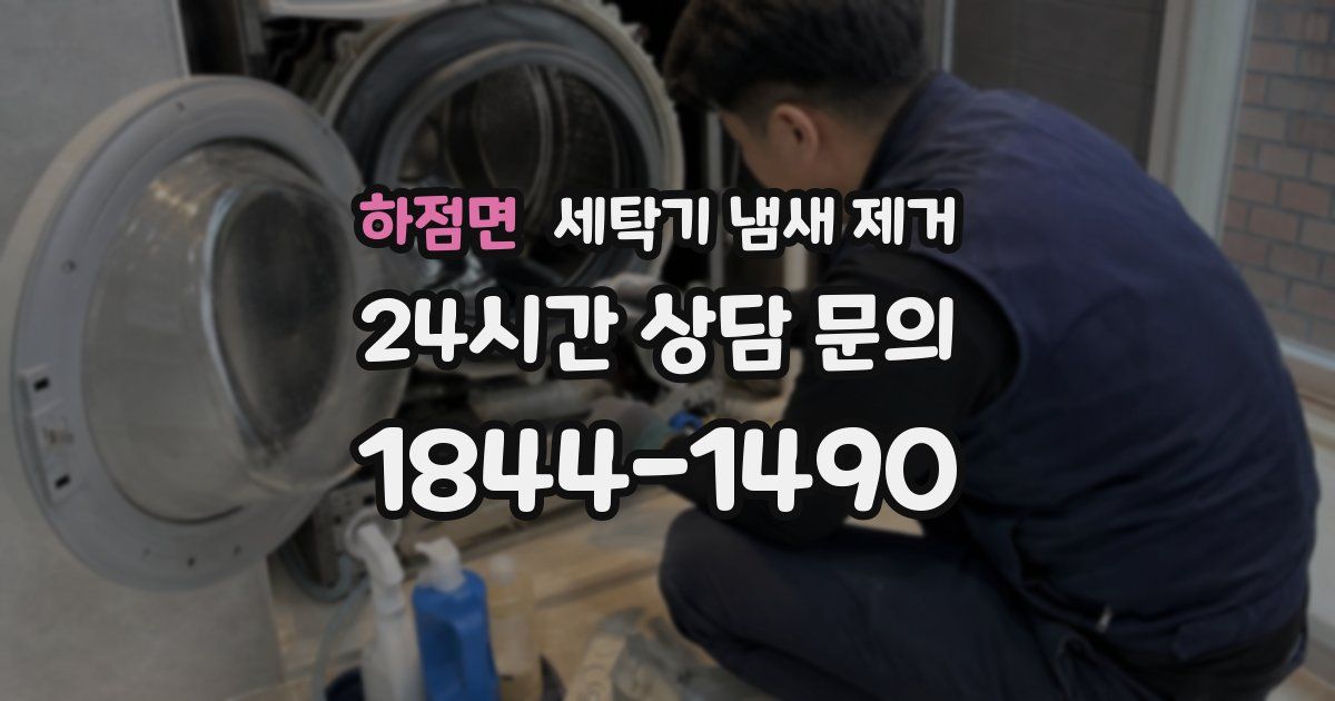 하점면 세탁기 냄새 제거