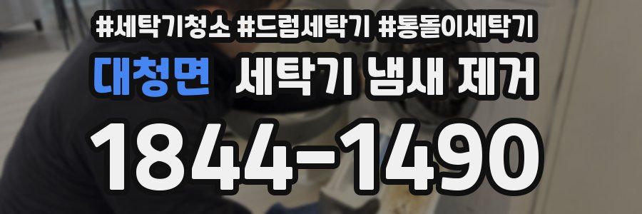 대청면 세탁기 냄새 제거