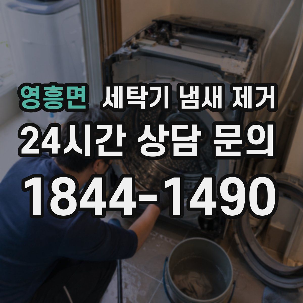 영흥면 세탁기 냄새 제거