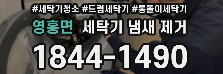 영흥면 세탁기 냄새 제거