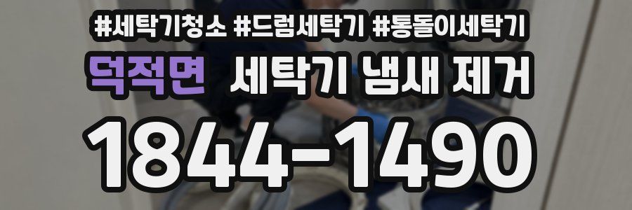 덕적면 세탁기 냄새 제거