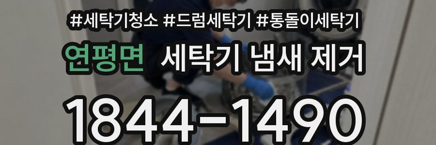 연평면 세탁기 냄새 제거