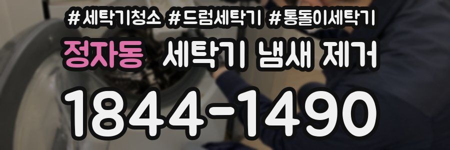 정자동 세탁기 냄새 제거