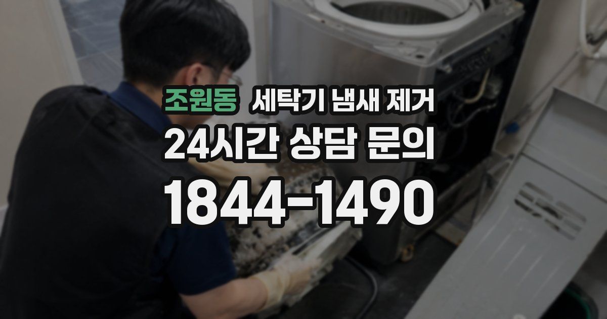 조원동 세탁기 냄새 제거