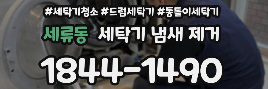 세류동 세탁기 냄새 제거