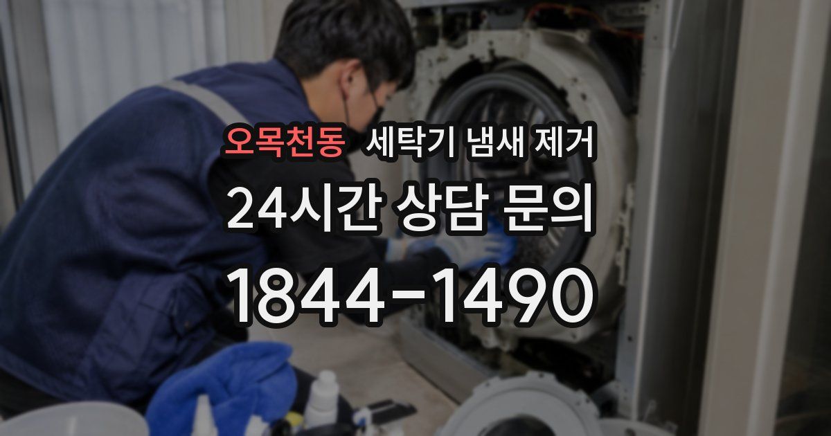 오목천동 세탁기 냄새 제거
