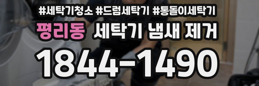 평리동 세탁기 냄새 제거