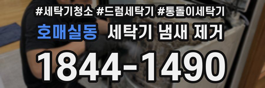 호매실동 세탁기 냄새 제거