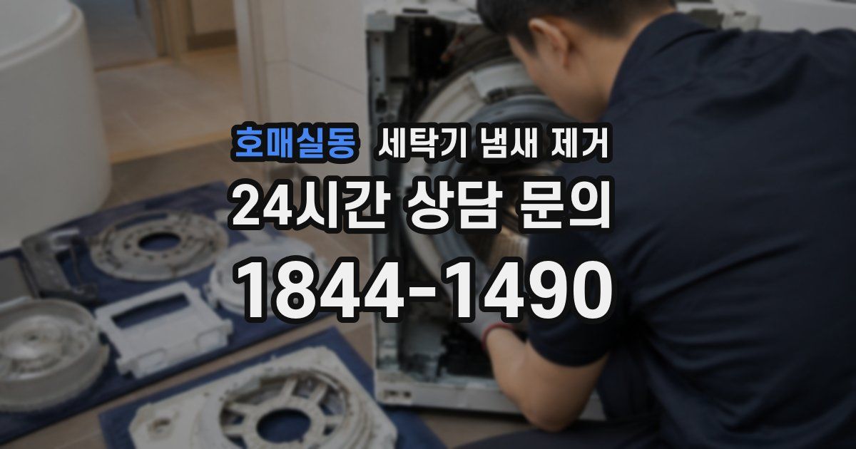 호매실동 세탁기 냄새 제거