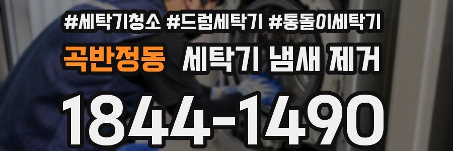 곡반정동 세탁기 냄새 제거