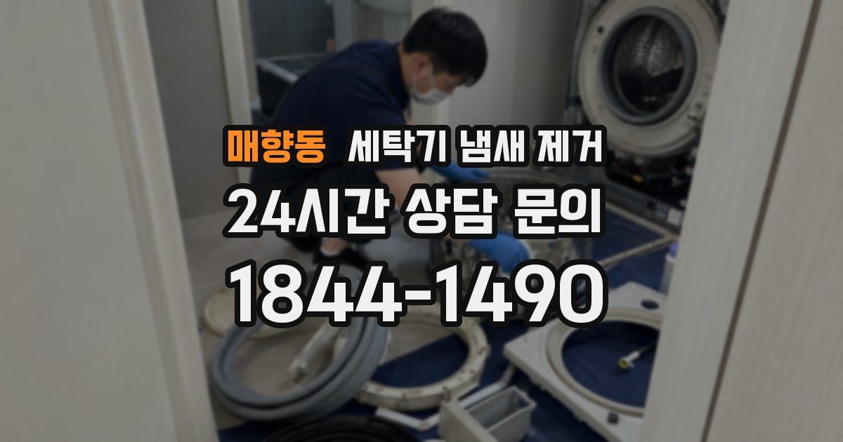매향동 세탁기 냄새 제거