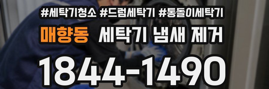 매향동 세탁기 냄새 제거