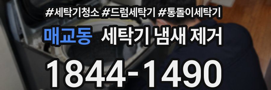 매교동 세탁기 냄새 제거