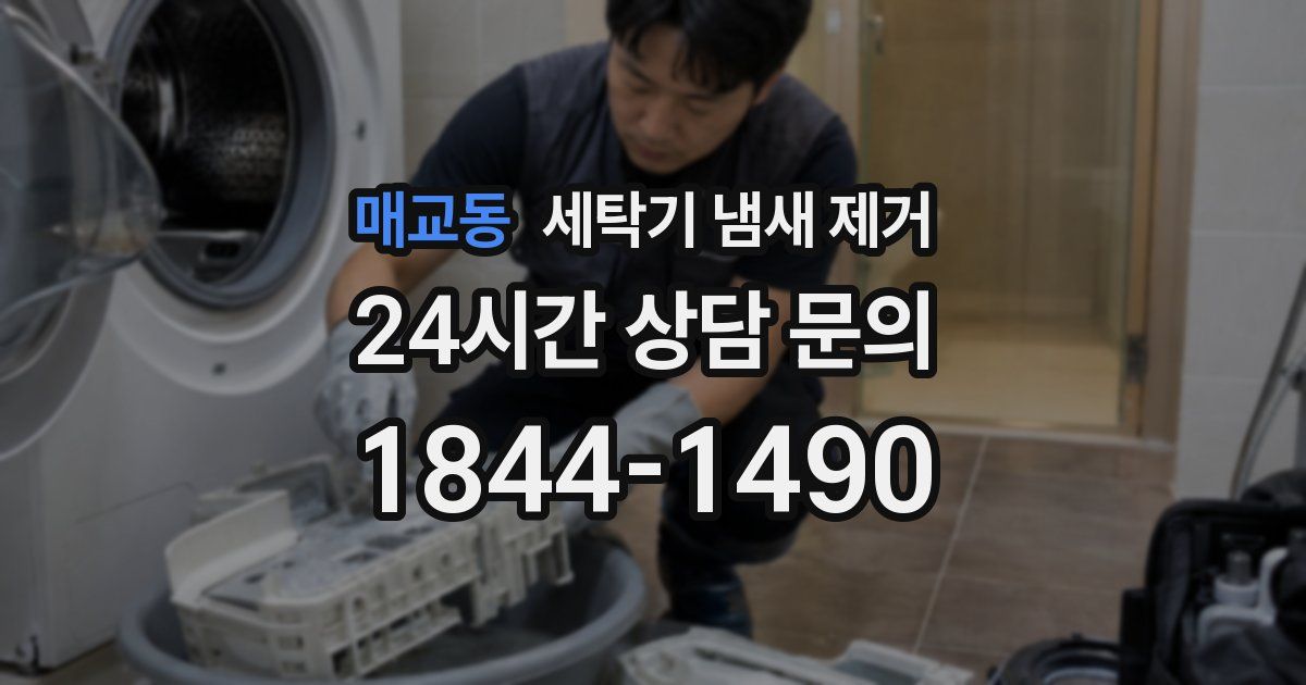 매교동 세탁기 냄새 제거