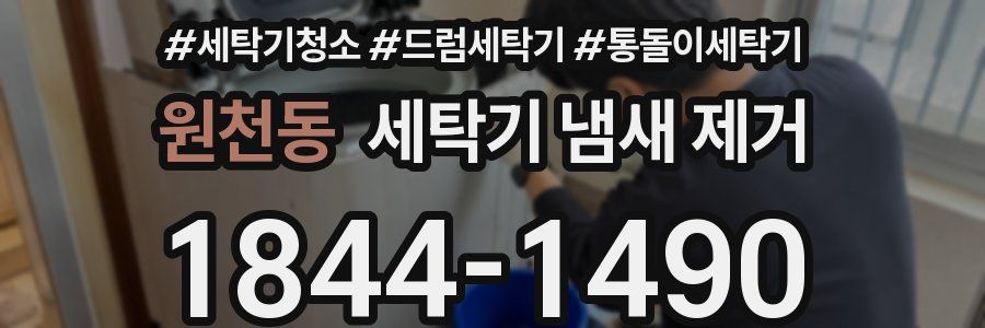 원천동 세탁기 냄새 제거