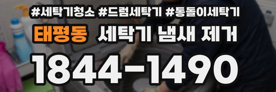 태평동 세탁기 냄새 제거