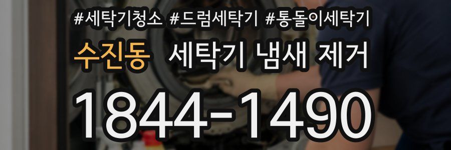 수진동 세탁기 냄새 제거