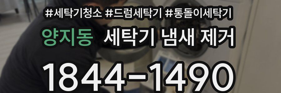 양지동 세탁기 냄새 제거