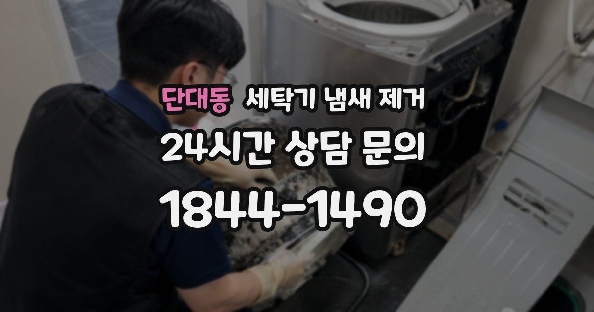 단대동 세탁기 냄새 제거