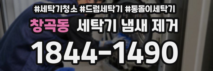 창곡동 세탁기 냄새 제거