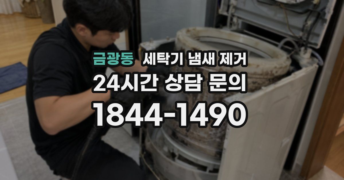금광동 세탁기 냄새 제거