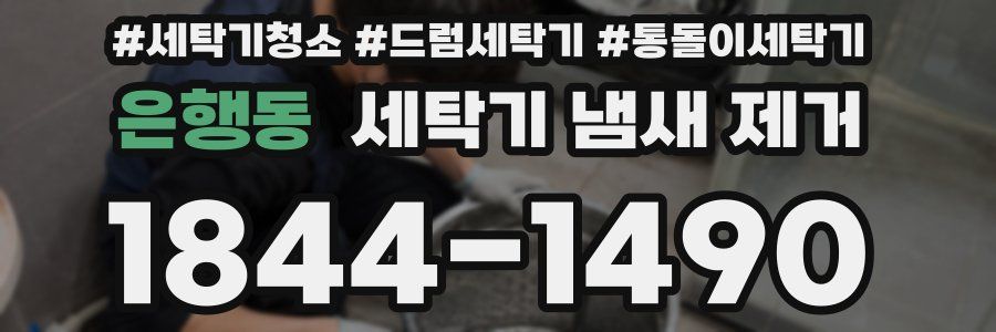 은행동 세탁기 냄새 제거