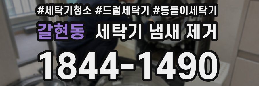 갈현동 세탁기 냄새 제거