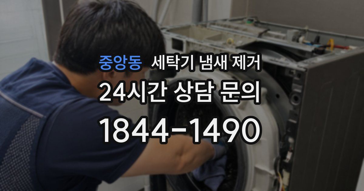 중앙동 세탁기 냄새 제거